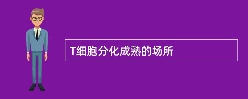 T细胞分化成熟的场所