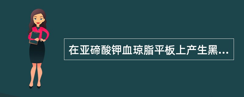 在亚碲酸钾血琼脂平板上产生黑色菌落的革兰阳性杆菌为