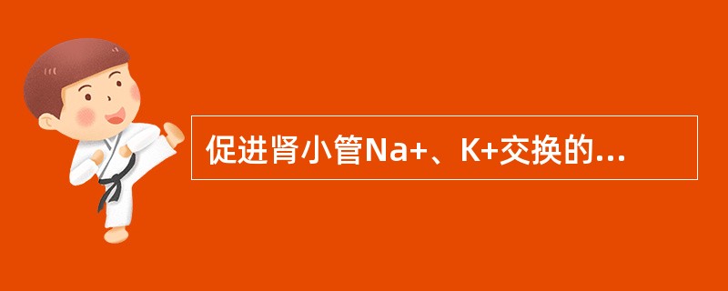 促进肾小管Na+、K+交换的主要激素是