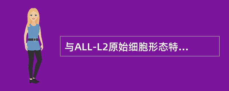 与ALL-L2原始细胞形态特点不符合的是