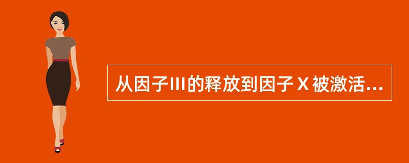 从因子Ⅲ的释放到因子Ⅹ被激活这一过程，是指下列哪一项