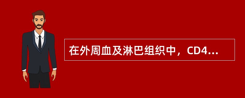 在外周血及淋巴组织中，CD4+T细胞约占淋巴细胞总数的