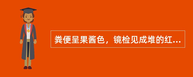 粪便呈果酱色，镜检见成堆的红细胞，少量白细胞，应注意找