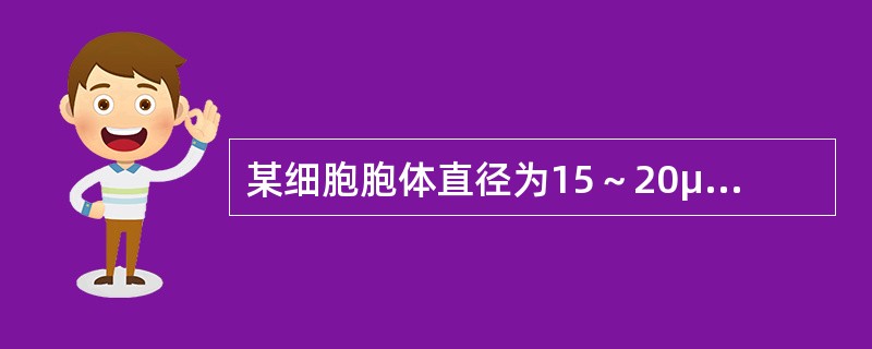 某细胞胞体直径为15～20μm，圆形，边缘有瘤状突起；胞核圆形，核染色质呈颗粒状；核仁1～2个；胞质量少，呈油墨蓝。该细胞为