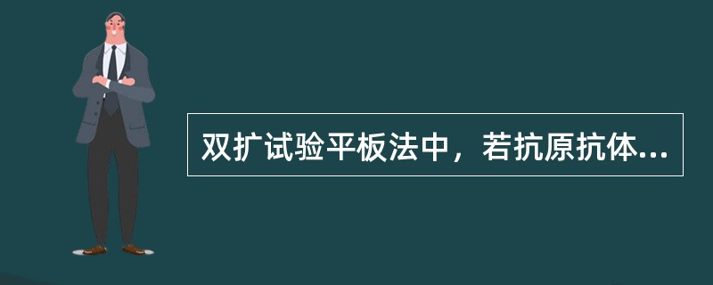 双扩试验平板法中，若抗原抗体含量相同，则反应沉淀线应