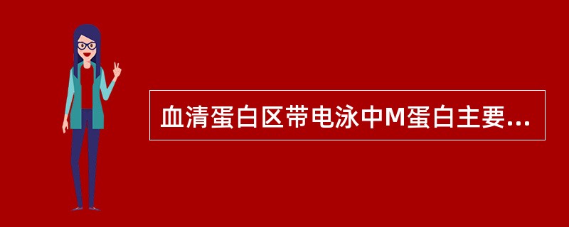 血清蛋白区带电泳中M蛋白主要位于