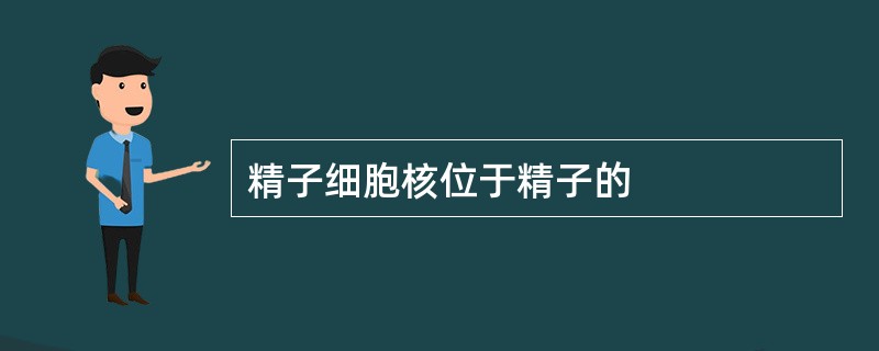 精子细胞核位于精子的