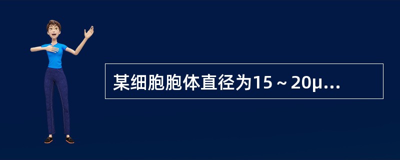 某细胞胞体直径为15～20μm，圆形，边缘有瘤状突起；胞核圆形，核染色质呈颗粒状；核仁1～2个；细胞质量少，呈油墨蓝，该特征符合