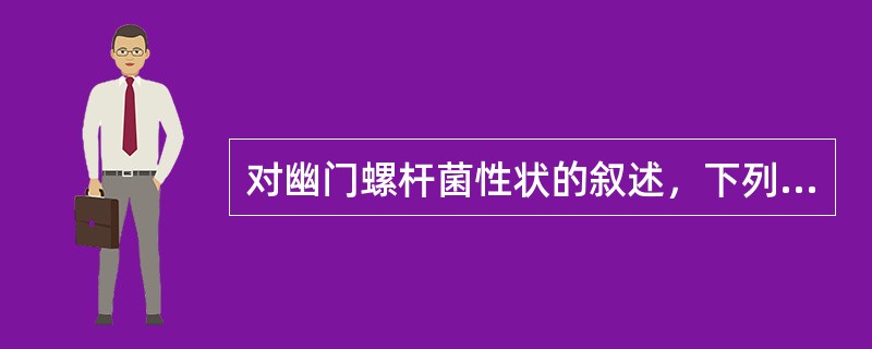 对幽门螺杆菌性状的叙述，下列哪项不正确