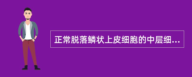 正常脱落鳞状上皮细胞的中层细胞，细胞核与细胞质的比应为