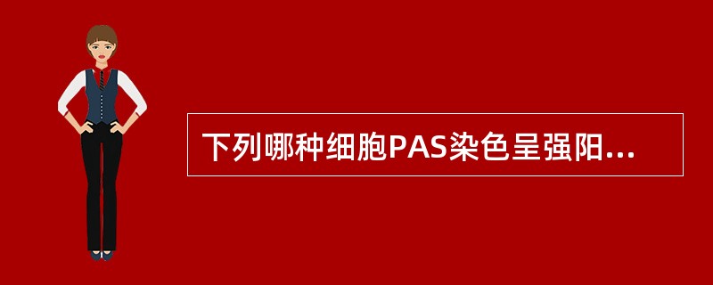 下列哪种细胞PAS染色呈强阳性反应