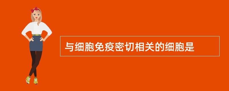 与细胞免疫密切相关的细胞是