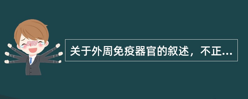 关于外周免疫器官的叙述，不正确的是