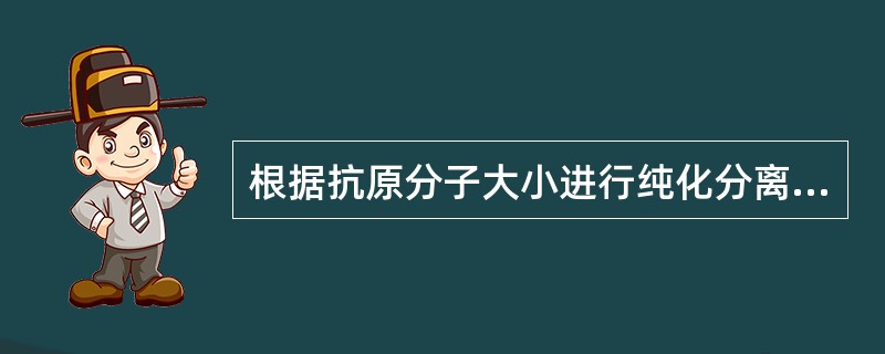 根据抗原分子大小进行纯化分离的方法为