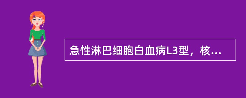 急性淋巴细胞白血病L3型，核染色质的特点是