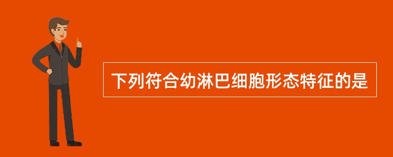 下列符合幼淋巴细胞形态特征的是