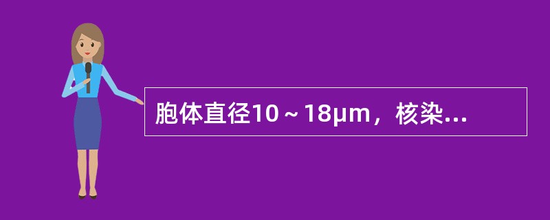 胞体直径10～18μm，核染色质细致，颗粒状排列均匀、平坦，核仁2～5个，界限清楚，胞质淡蓝色，着色均匀浅淡