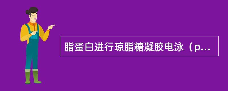 脂蛋白进行琼脂糖凝胶电泳（pH8.6电泳缓冲液）从负极到正极依次是（）