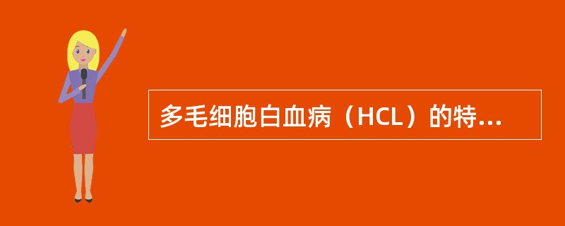 多毛细胞白血病（HCL）的特征性细胞化学染色为