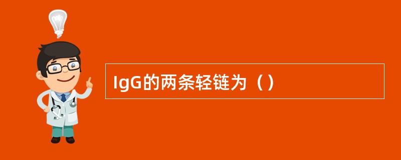 IgG的两条轻链为（）