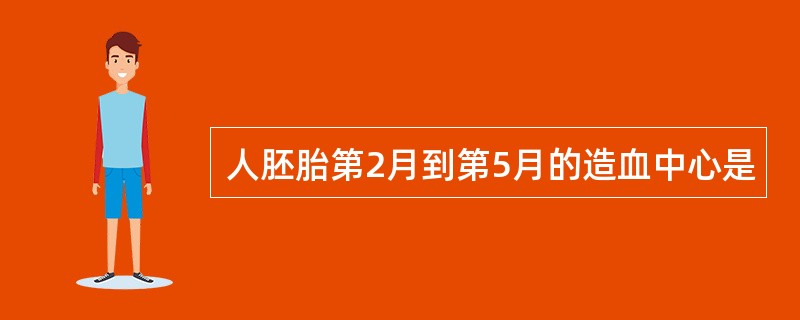 人胚胎第2月到第5月的造血中心是