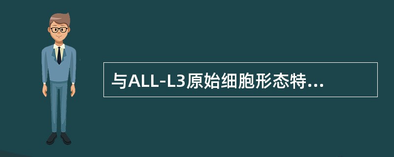 与ALL-L3原始细胞形态特点不符合的是