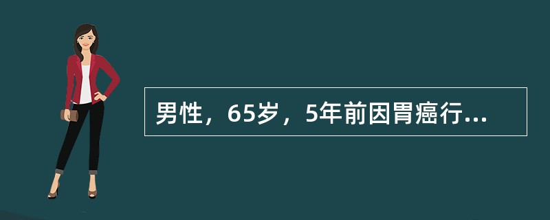 男性，65岁，5年前因胃癌行全胃切除术。检验：RBC2×1012/L，Hb60g/L，WBC2.8×109/L，血小板55×109/L，MCV129fl，MCH37pg，MCHC340g/L。最可能的