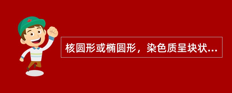 核圆形或椭圆形，染色质呈块状，核仁消失，胞质嗜多色性，符合以下哪种细胞的特点