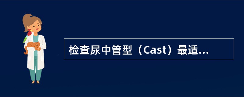 检查尿中管型（Cast）最适宜标本为（）