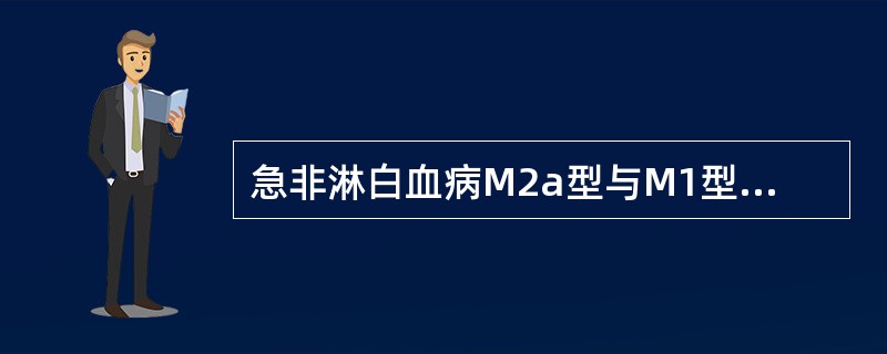 急非淋白血病M2a型与M1型主要区别