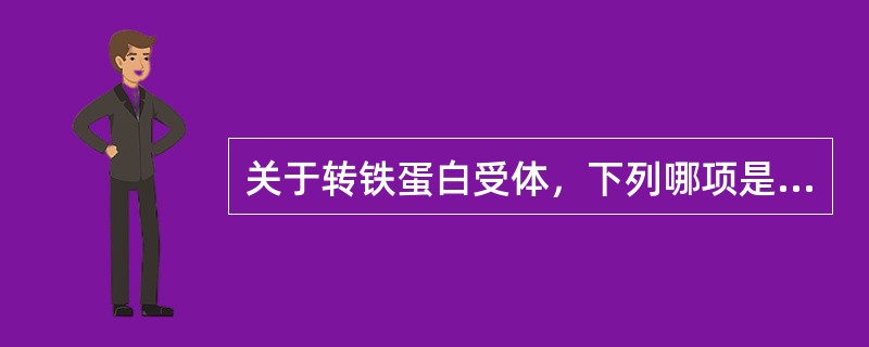 关于转铁蛋白受体，下列哪项是错误的