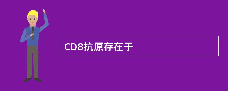 CD8抗原存在于