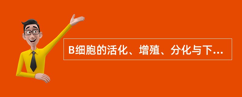 B细胞的活化、增殖、分化与下列哪组分子间的作用无关