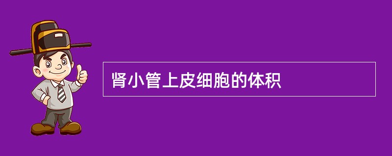 肾小管上皮细胞的体积