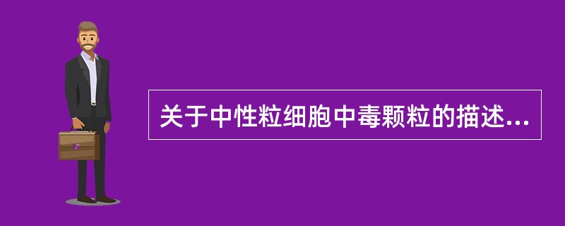 关于中性粒细胞中毒颗粒的描述，不正确的是