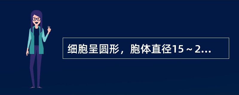 细胞呈圆形，胞体直径15～20μm，胞核较大，圆形：核染色质纤细，呈疏松网状，核仁1～3个；胞质丰富，呈灰蓝色，不透明，边缘不规则。该细胞最可能是