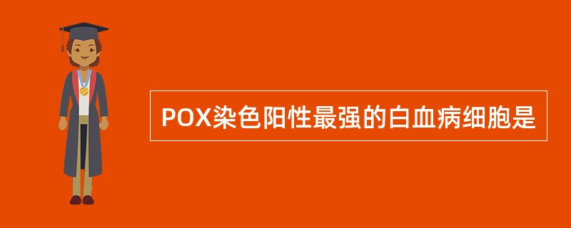 POX染色阳性最强的白血病细胞是