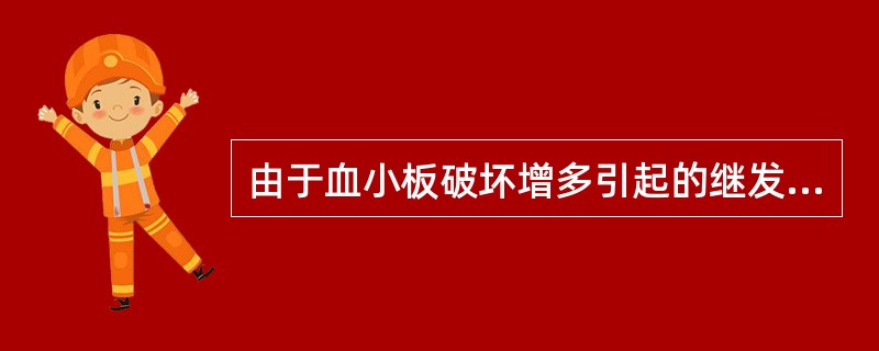 由于血小板破坏增多引起的继发性血小板减少性紫癜