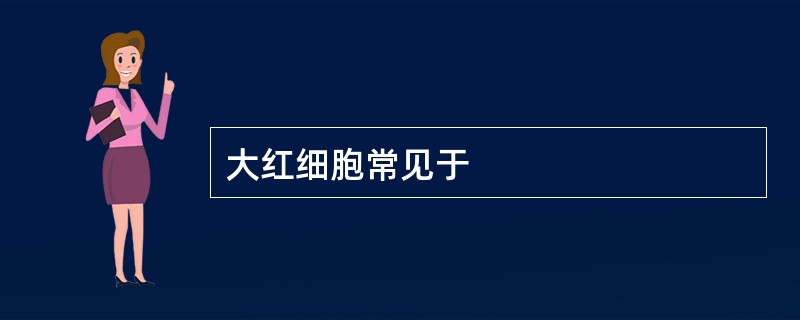 大红细胞常见于