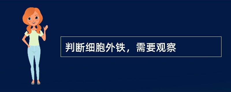 判断细胞外铁，需要观察