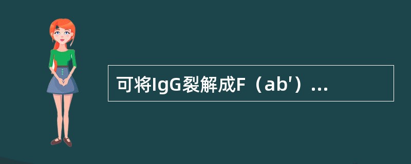 可将IgG裂解成F（ab′）2和数个小片段的酶是