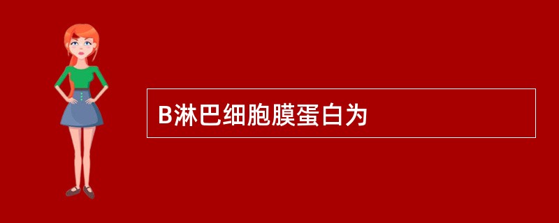 B淋巴细胞膜蛋白为