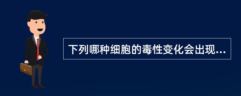 下列哪种细胞的毒性变化会出现中毒颗粒