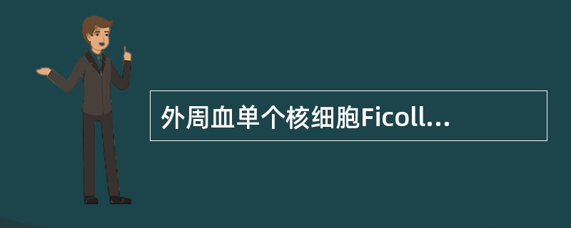 外周血单个核细胞Ficoll分层液法从上而下第2层为