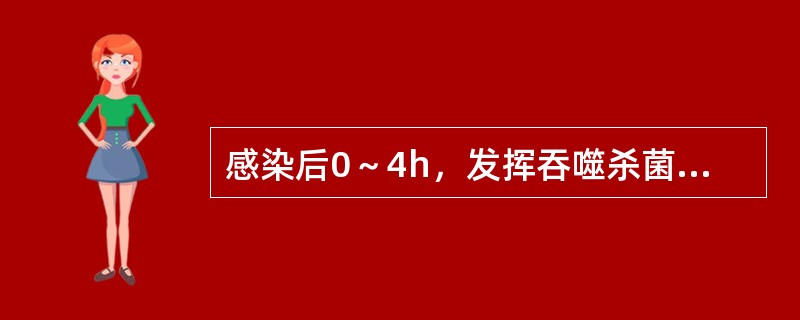 感染后0～4h，发挥吞噬杀菌作用的细胞是