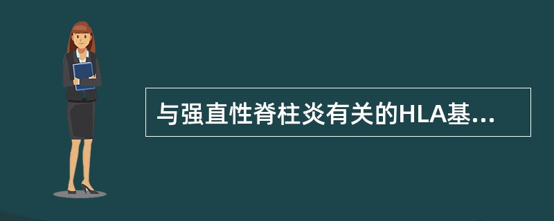 与强直性脊柱炎有关的HLA基因型主要是