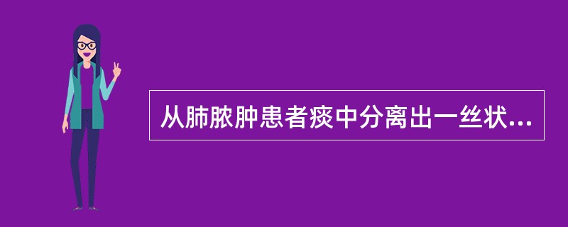 从肺脓肿患者痰中分离出一丝状菌，生长缓慢，血平板上为黄橙色菌落，表面干燥，有皱褶或呈颗粒状，革兰染色为阳性，抗酸染色为弱阳性。它可能是