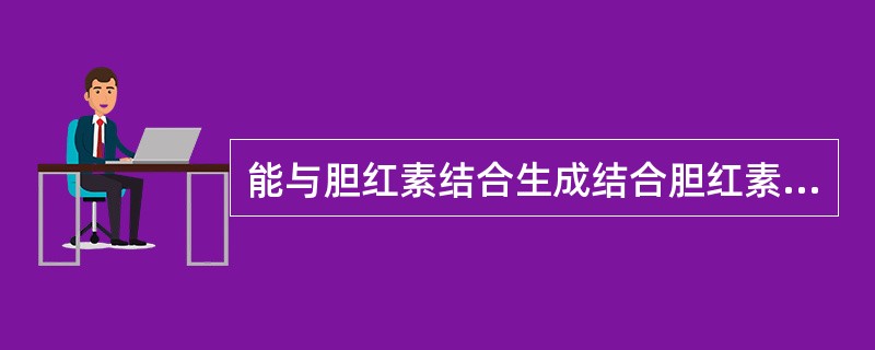 能与胆红素结合生成结合胆红素的物质是