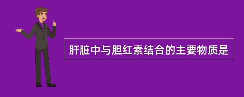 肝脏中与胆红素结合的主要物质是