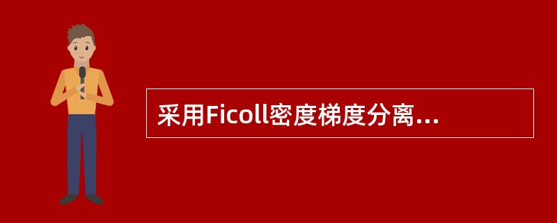 采用Ficoll密度梯度分离法分离得到的细胞主要为